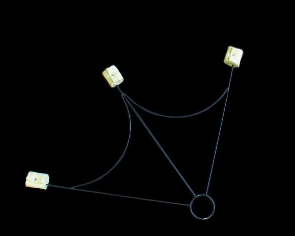 Vatrene lepeze Trident