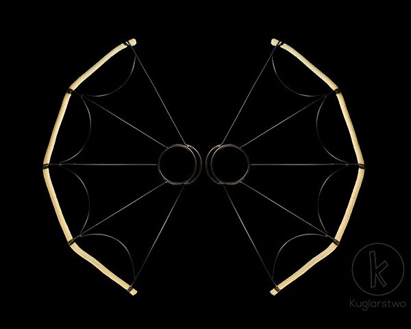 Vatrene lepeze Wings